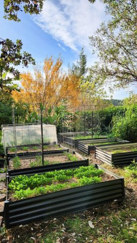 garden established