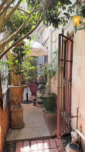 Hollywood Glamour, Collingwood - Garden - 1