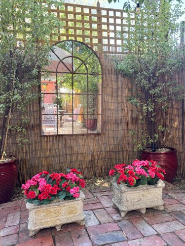 Hollywood Glamour, Collingwood - Garden - 3