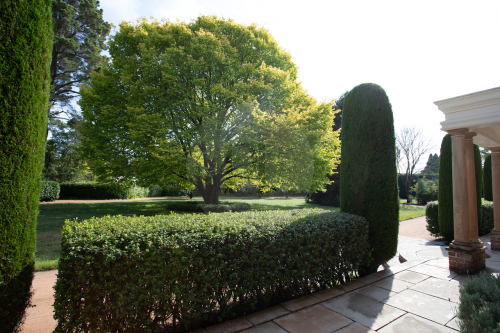 ROSEMONT ESTATE, Burradoo1