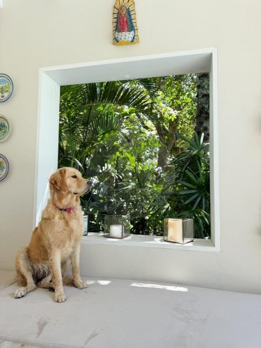 Seagrass House, Avalon Beach-01