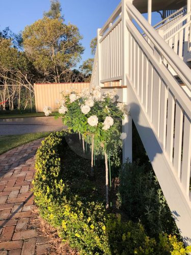 Staycation, Shorncliffe-21
