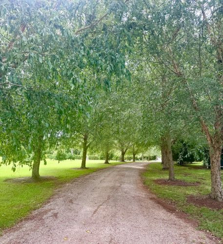 driveway