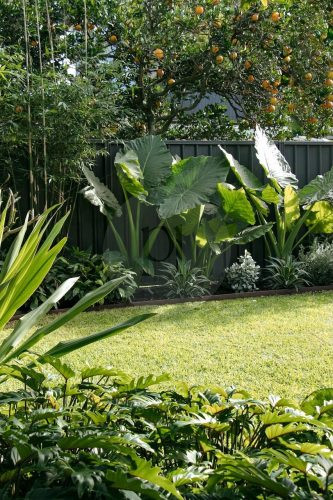 garden established