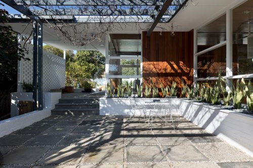 Starburst, Nedlands-11