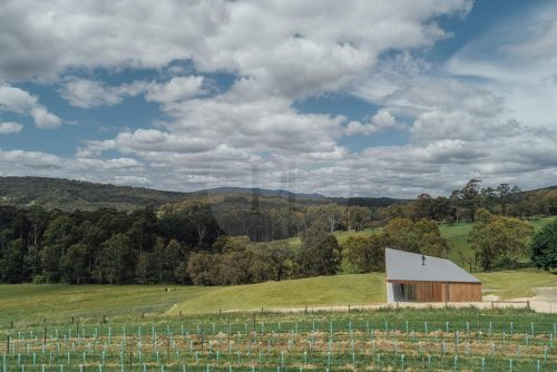 True North, Hoddles Creek-03