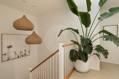 Verde Blanca, Woolooware-01