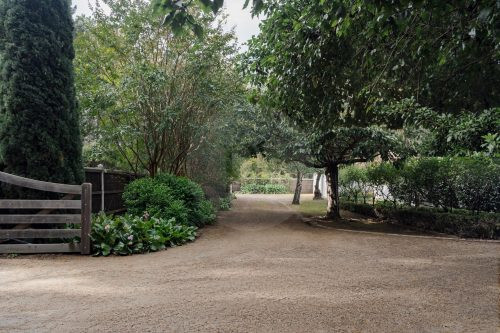 driveway garden established garage