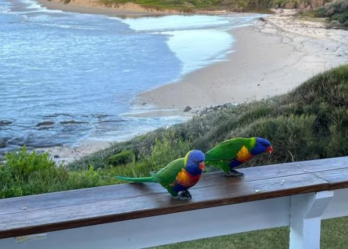 Bluecrush, Ulladulla-15