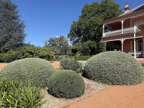CHARTWELL ESTATE, BOWRAL11