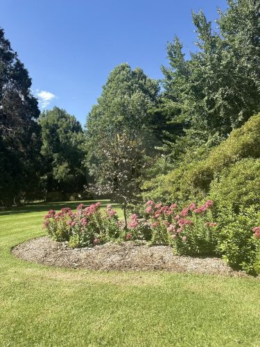 CHARTWELL ESTATE, BOWRAL152