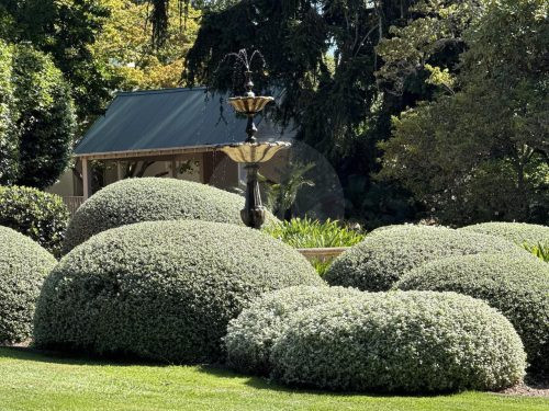 CHARTWELL ESTATE, BOWRAL159