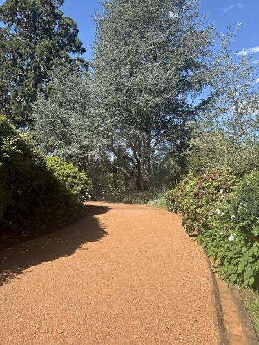 CHARTWELL ESTATE, BOWRAL165