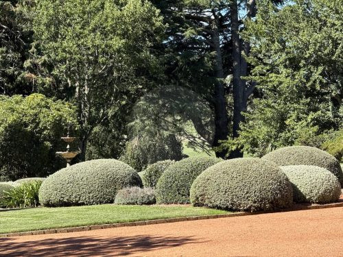 CHARTWELL ESTATE, BOWRAL188