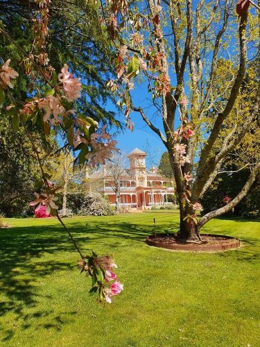 CHARTWELL4