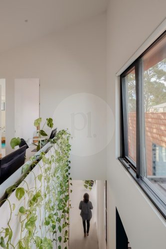 Claystone, Mount Waverley-16