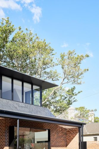 Gemella, Ashfield-1