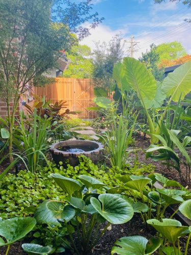 garden established
