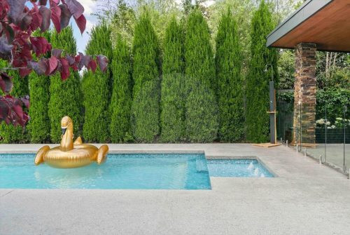 Lucent Cove, Berrowra20