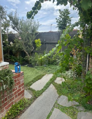 backyard garden established pool