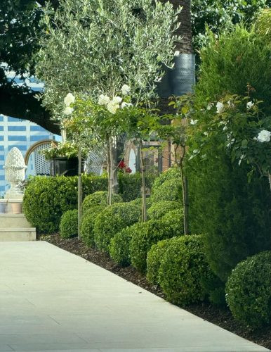 PERSEPHONE, Bellevue Hill GARDENS 14