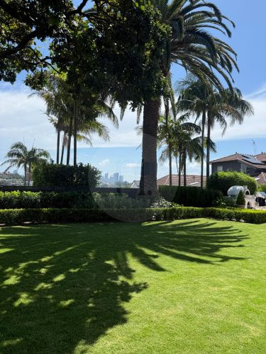 PERSEPHONE, Bellevue Hill GARDENS 23