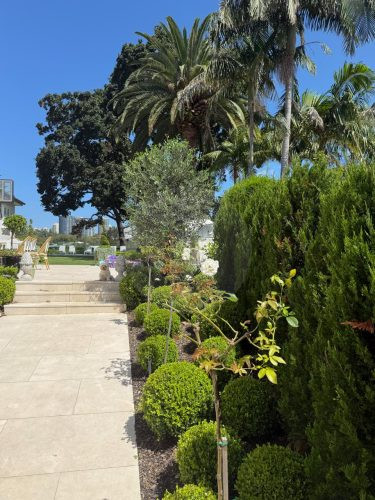 PERSEPHONE, Bellevue Hill GARDENS 29