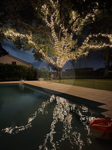 PERSEPHONE, Bellevue Hill GARDENS 48