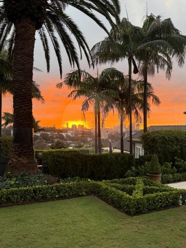 PERSEPHONE, Bellevue Hill SUNSET GARDENS 50