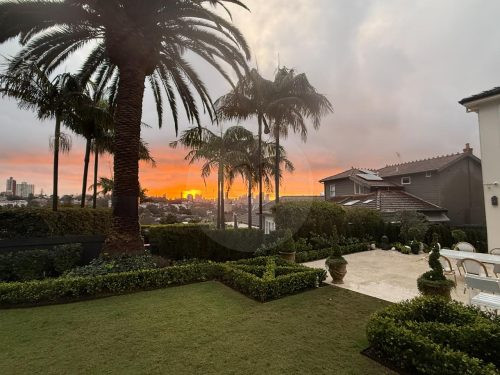 PERSEPHONE, Bellevue Hill SUNSET GARDENS 51