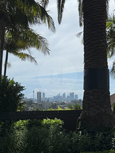 PERSEPHONE, Bellevue Hill VIEW 36
