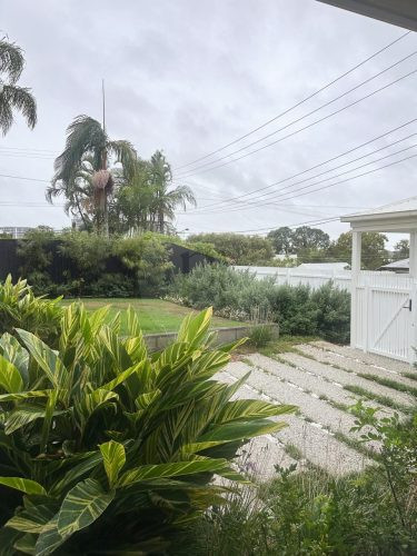 Pedestals, Bulimba-23