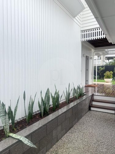 Pedestals, Bulimba-24