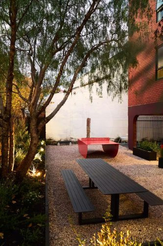 facade backyard garden established pool