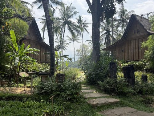BAMBU INDAH, UBUD102