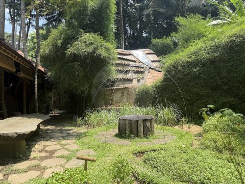 BAMBU INDAH, UBUD104