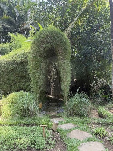BAMBU INDAH, UBUD105