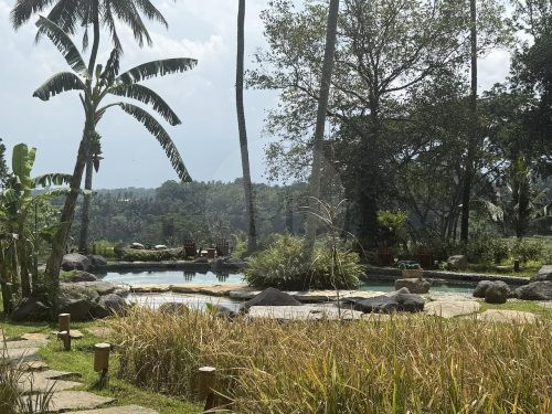 BAMBU INDAH, UBUD110