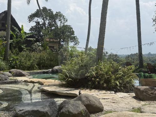 BAMBU INDAH, UBUD113