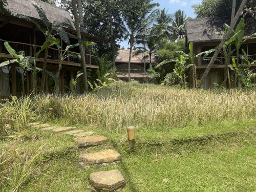 BAMBU INDAH, UBUD115