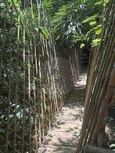 BAMBU INDAH, UBUD136