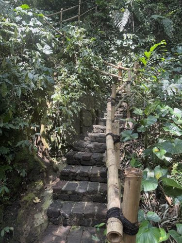BAMBU INDAH, UBUD146