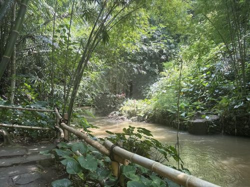 BAMBU INDAH, UBUD149