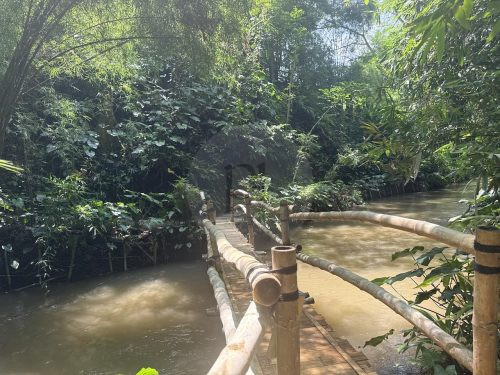BAMBU INDAH, UBUD151