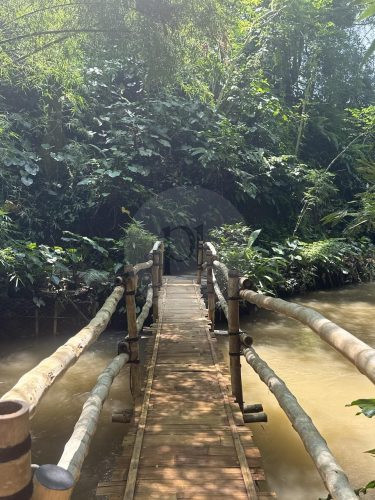 BAMBU INDAH, UBUD152