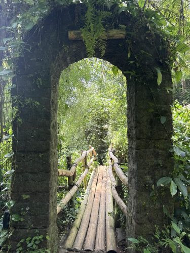 BAMBU INDAH, UBUD157
