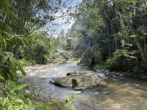 BAMBU INDAH, UBUD172