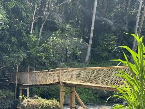 BAMBU INDAH, UBUD188