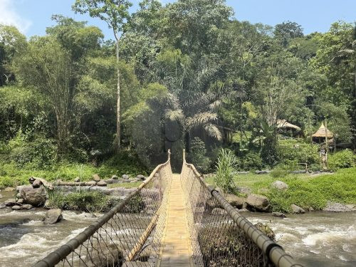 BAMBU INDAH, UBUD193