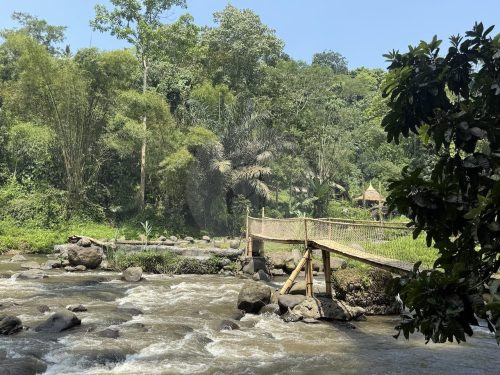 BAMBU INDAH, UBUD194